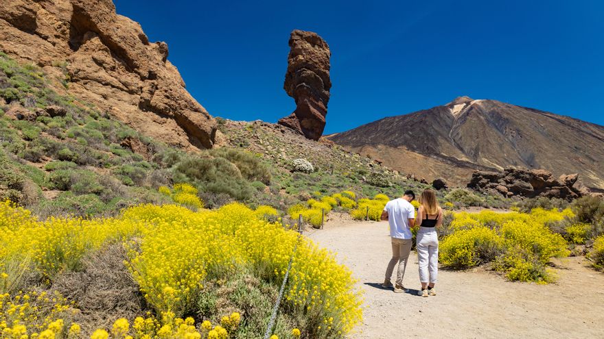 Desmantelar el teleférico, erradicar el muflón o prohibir pruebas deportivas en el Teide, entre las alegaciones de los ecologistas al Plan Rector