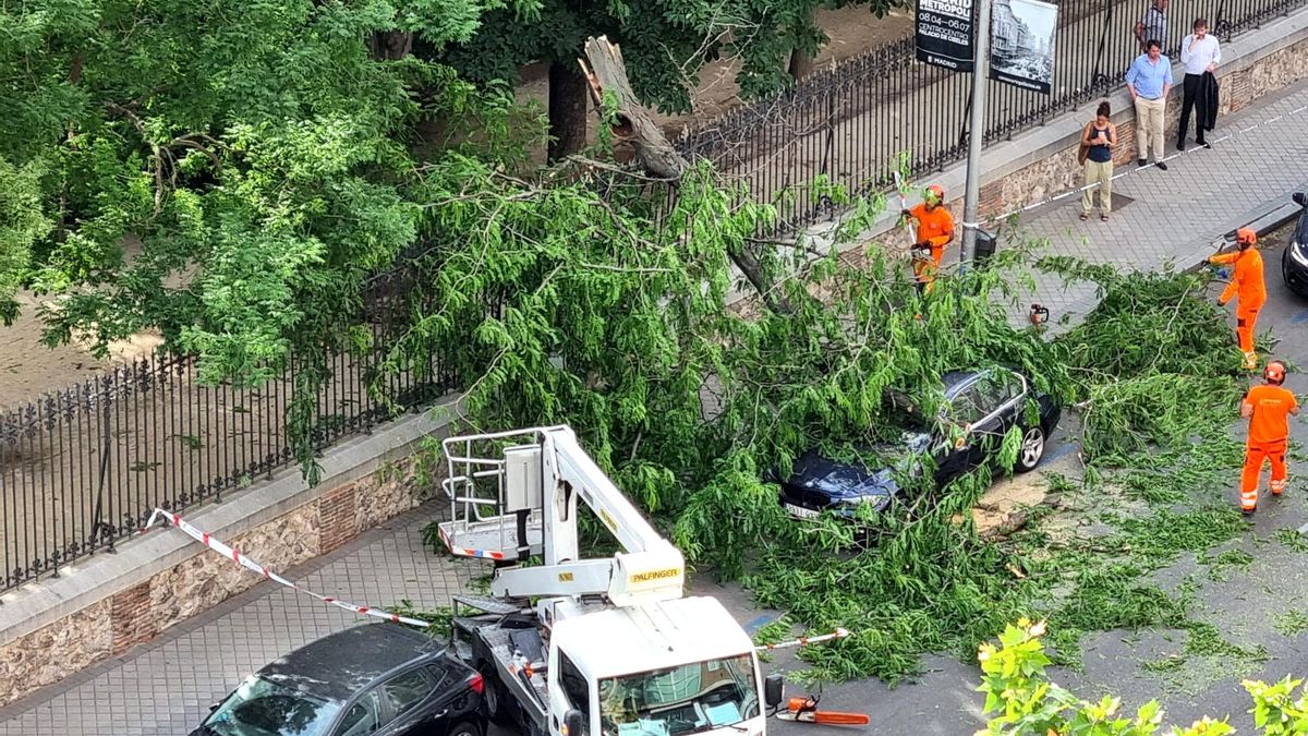 Un árbol del parque del Retiro cae sobre un coche aparcado en la calle, el martes 24 de junio de 2025