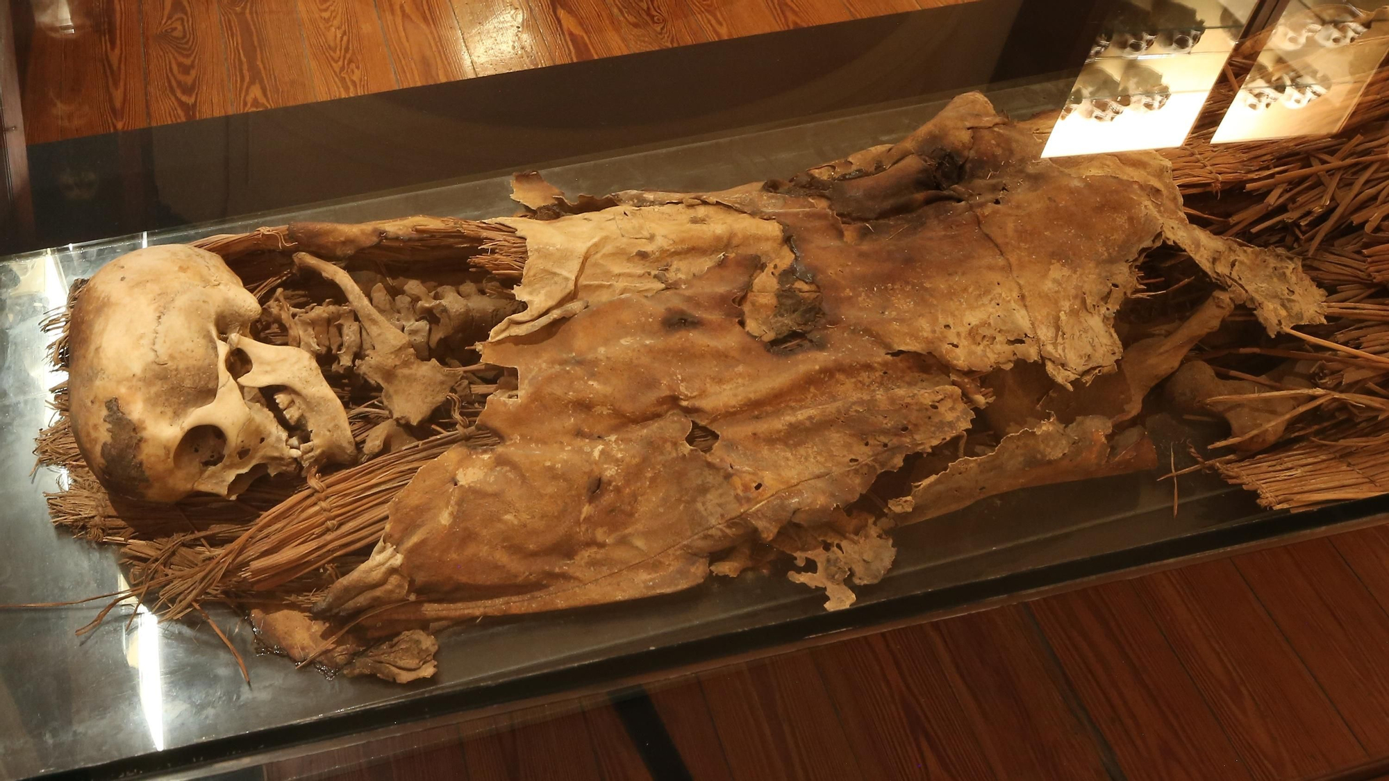Cadáver momificado de un aborigen de Gran Canaria, isla a la que pertenece la mayor partes de restos investigados por el médico Emilio González Reimers.