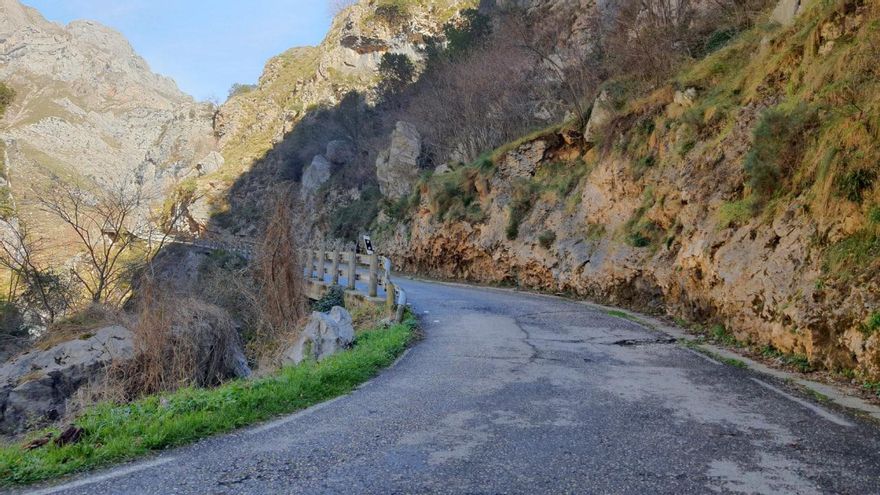 La carretera de acceso a la primera división del turismo en Picos de Europa de la que nadie quiere hacerse cargo