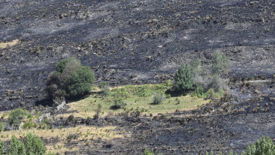 Septiembre arranca con mejoras en la situación de los incendios forestales