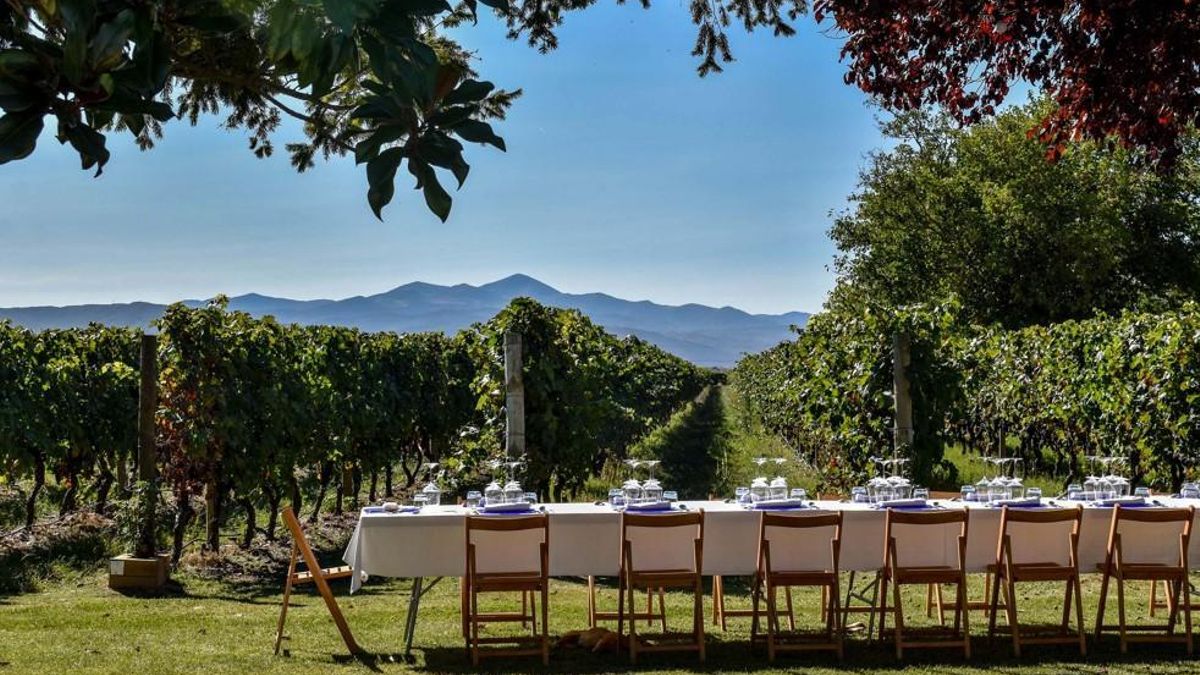 Enoturismo de récord: Las bodegas de Rioja rozan el millón de visitantes en 2024