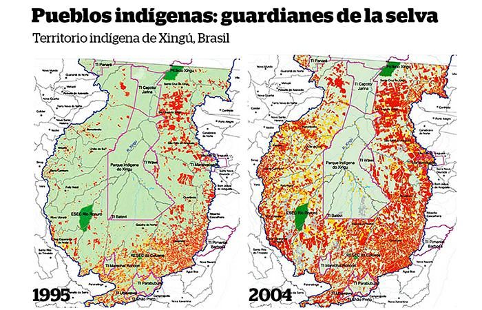 Los indígenas que cuidan de la naturaleza