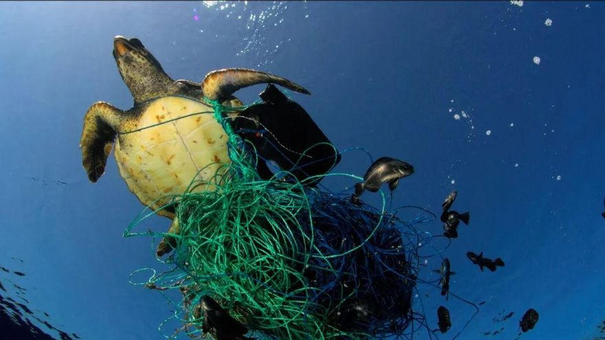 Los pesqueros dejan perdido en el mar tanto sedal 'asesino' como para dar 400 vueltas al mundo