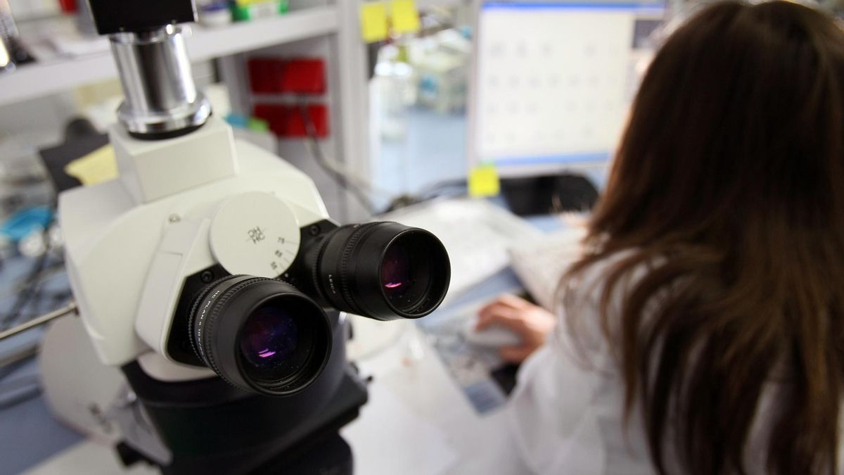 Andalucía pierde a la mitad de sus universidades públicas entre las 1.000 primeras del ránking de Shanghái