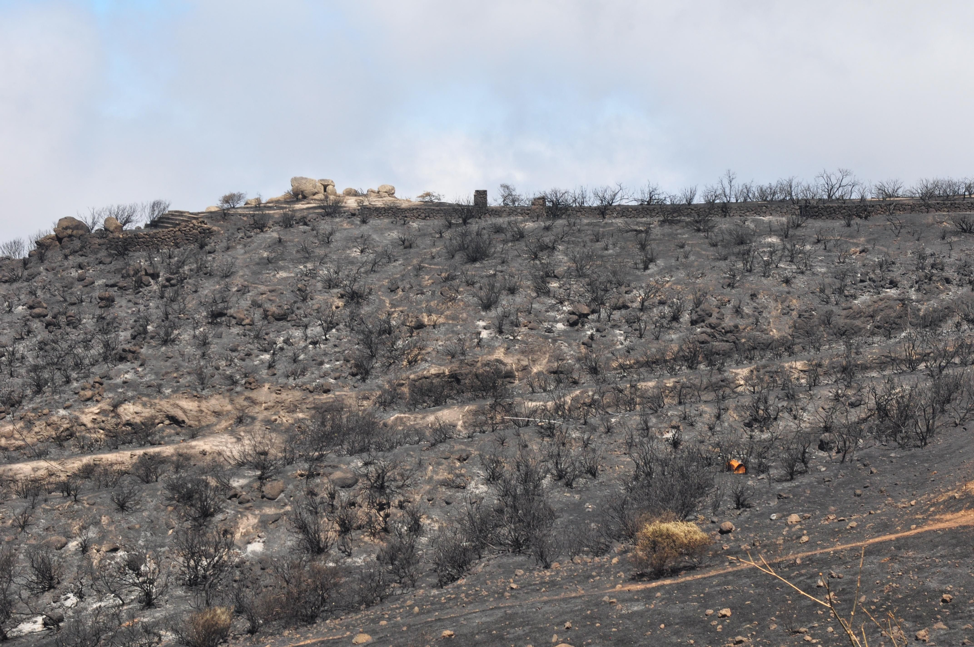 Paisaje calcinado en Gran Canaria por el incendio