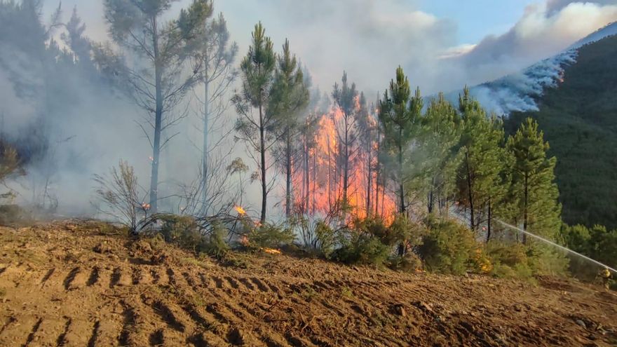 La Unidad Militar de Emergencia (UME) ha incorporado esta mañana un segundo batallón que suma un total de 230 efectivos en la zona, así como 23 patrullas de la Guardia Civil.