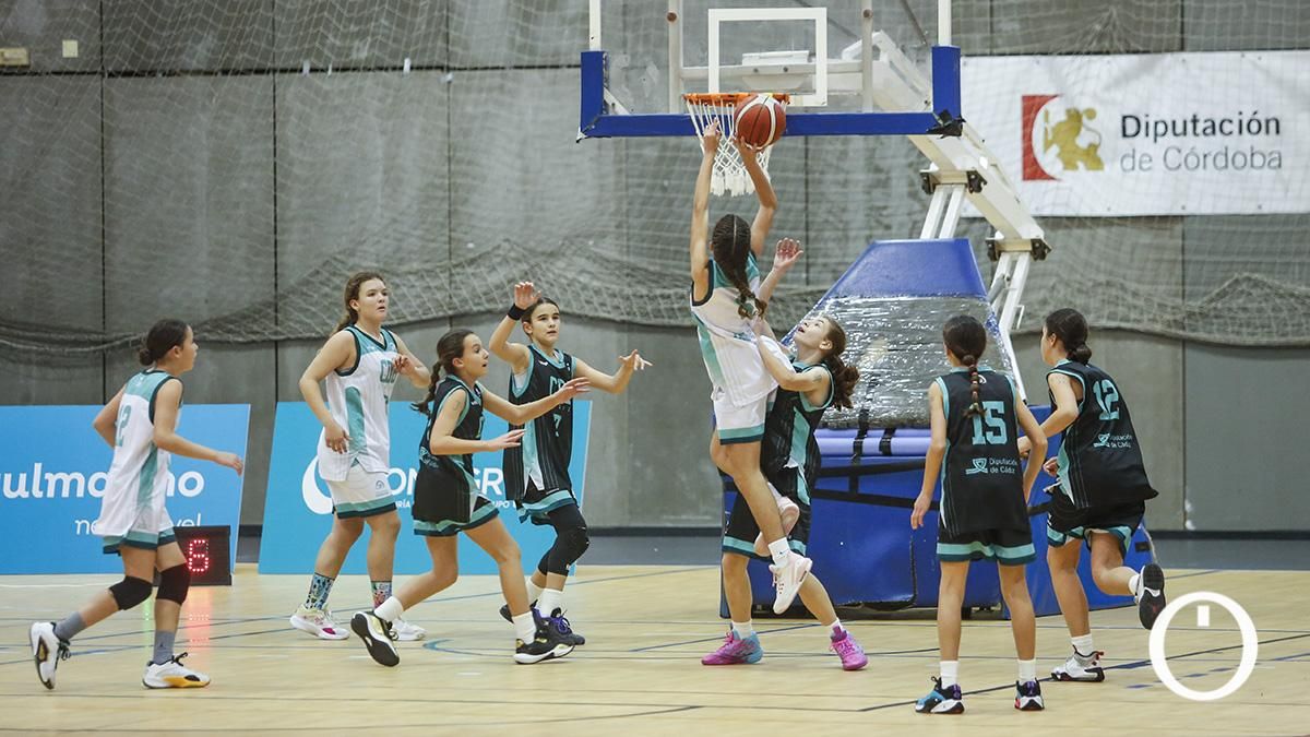 Finales del campeonato de andalucía de minibasket femenino