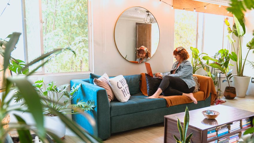 ¿Buscas una planta grande y escultural para el salón? Te recomendamos seis opciones perfectas