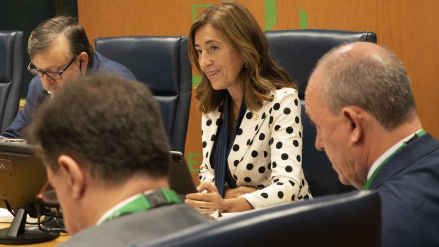 El 90% de los interinos en la Administración vasca tiene perfil de euskera