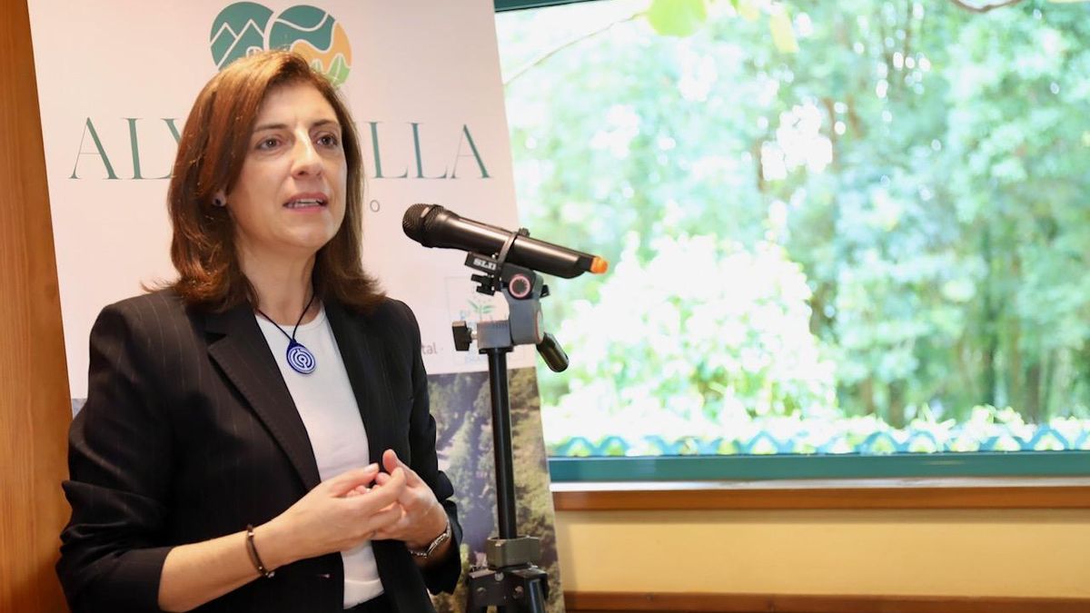 La Xunta carga contra el TSXG y califica de "errónea" la sentencia que anula un eólico pese al aval europeo a los plazos de tramitación