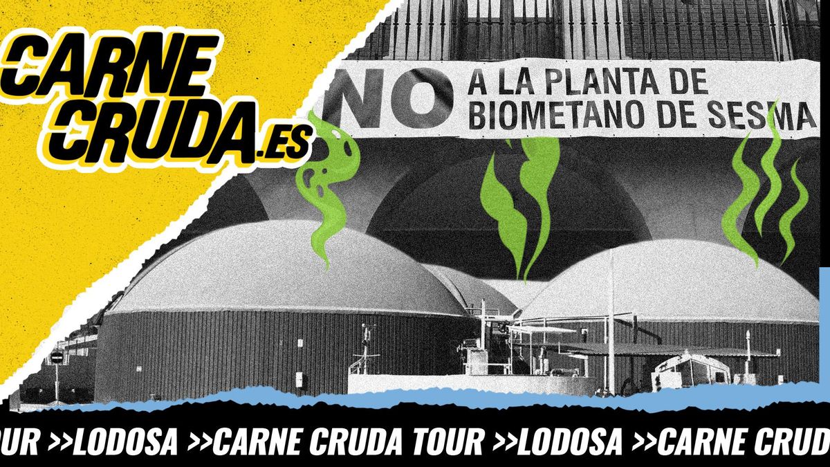 Biogás: algo huele a podrido en España