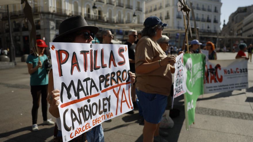 Pacma exige cambiar la ley para que el abandono de perros de caza esté penado con cárcel