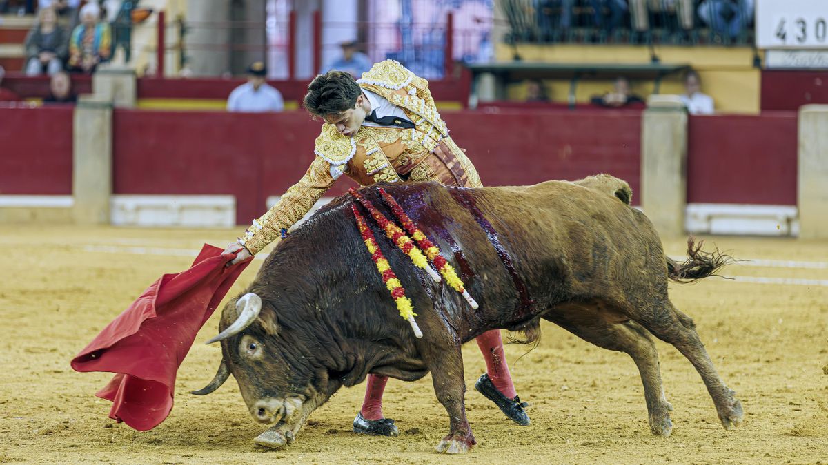 La Junta de Castilla y León destina 295.000 euros a la organización del circuito de novilladas 2026