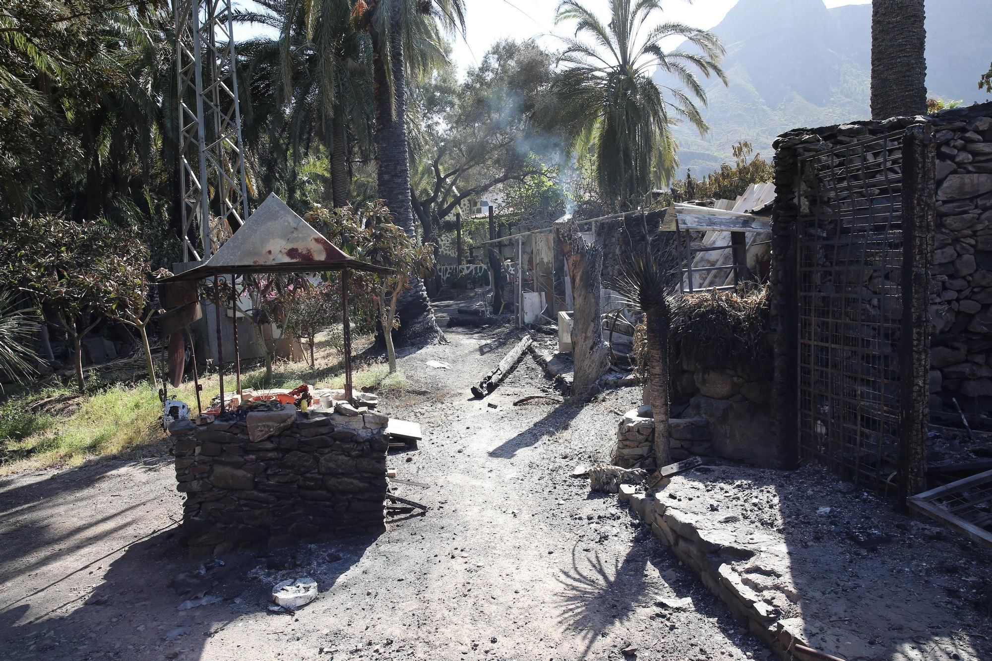 Así ha quedado el palmeral de Fataga tras el incendio declarado este sábado