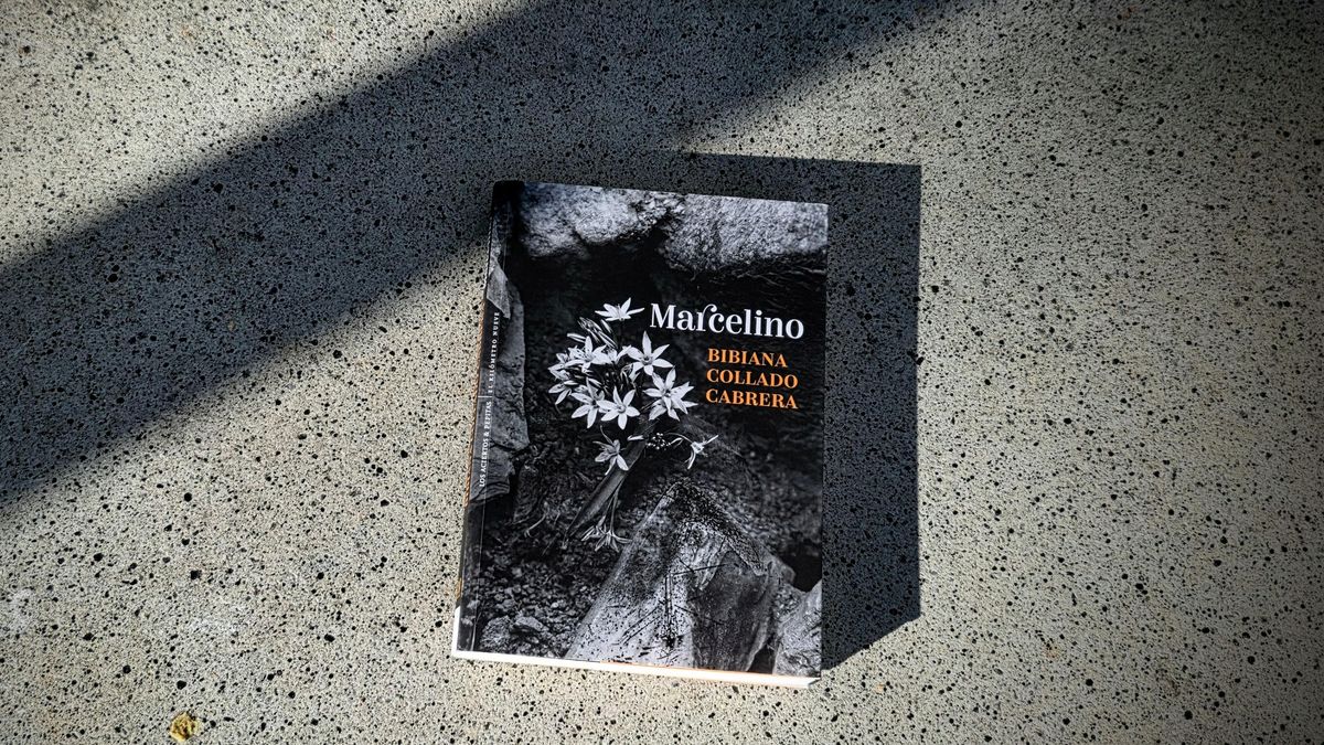 L’escriptora valenciana acaba de publicar la novel·la Marcelino