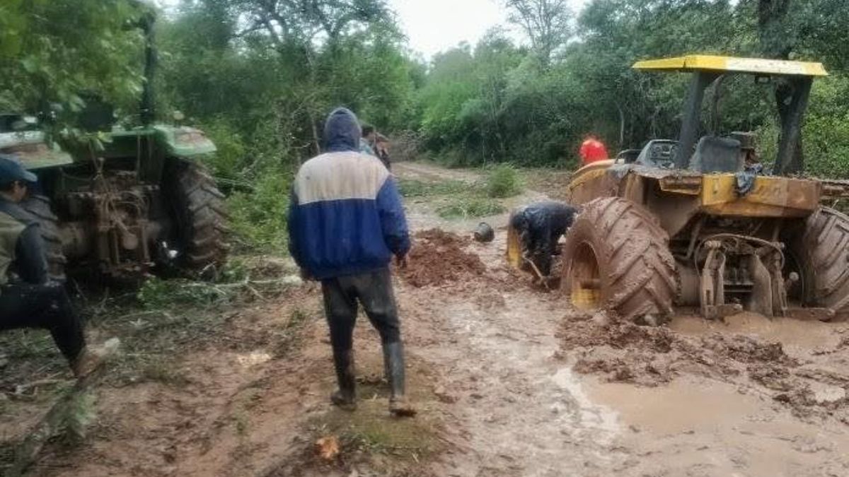 El Impenetrable chaqueño, en estos días.
