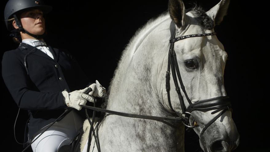 El ADN antiguo revela la mutación que hizo posible montar a caballo y cambió para siempre el rumbo de las civilizaciones