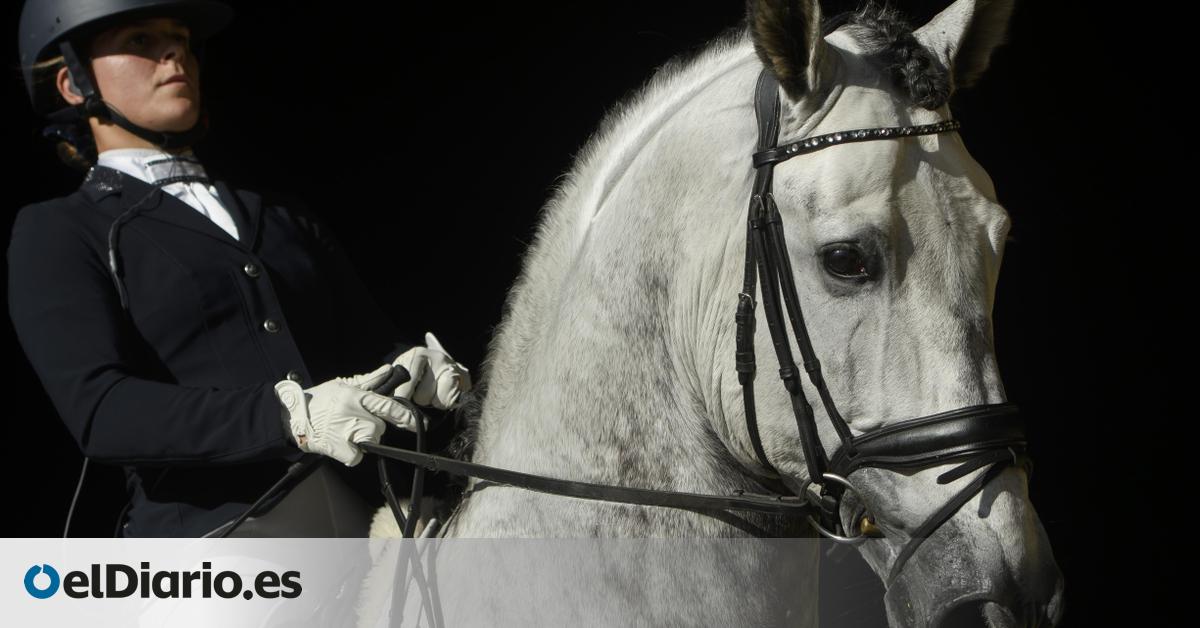 El ADN antiguo revela la mutación que hizo posible montar a caballo y cambió para siempre el rumbo de las civilizaciones