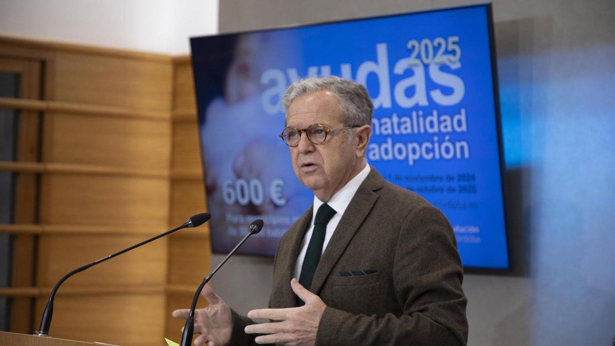 La Diputación concede más de 700 ayudas a la natalidad y adopción en 2025