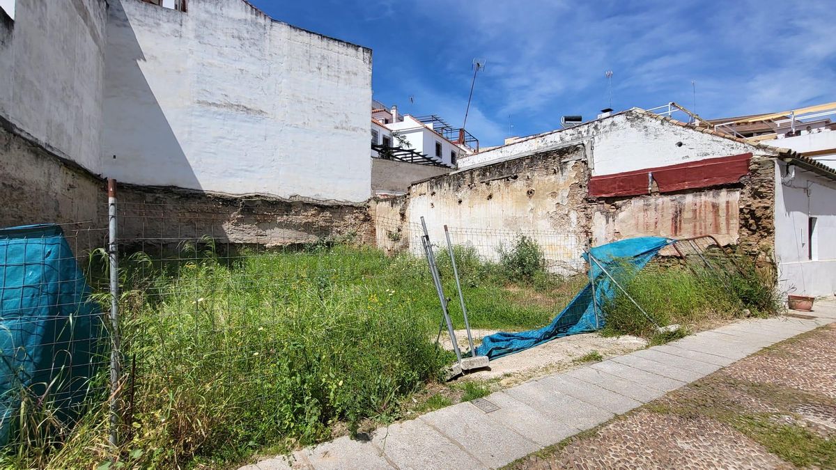 Denuncian la existencia de ratas y suciedad en un solar abandonado en el barrio de San Basilio