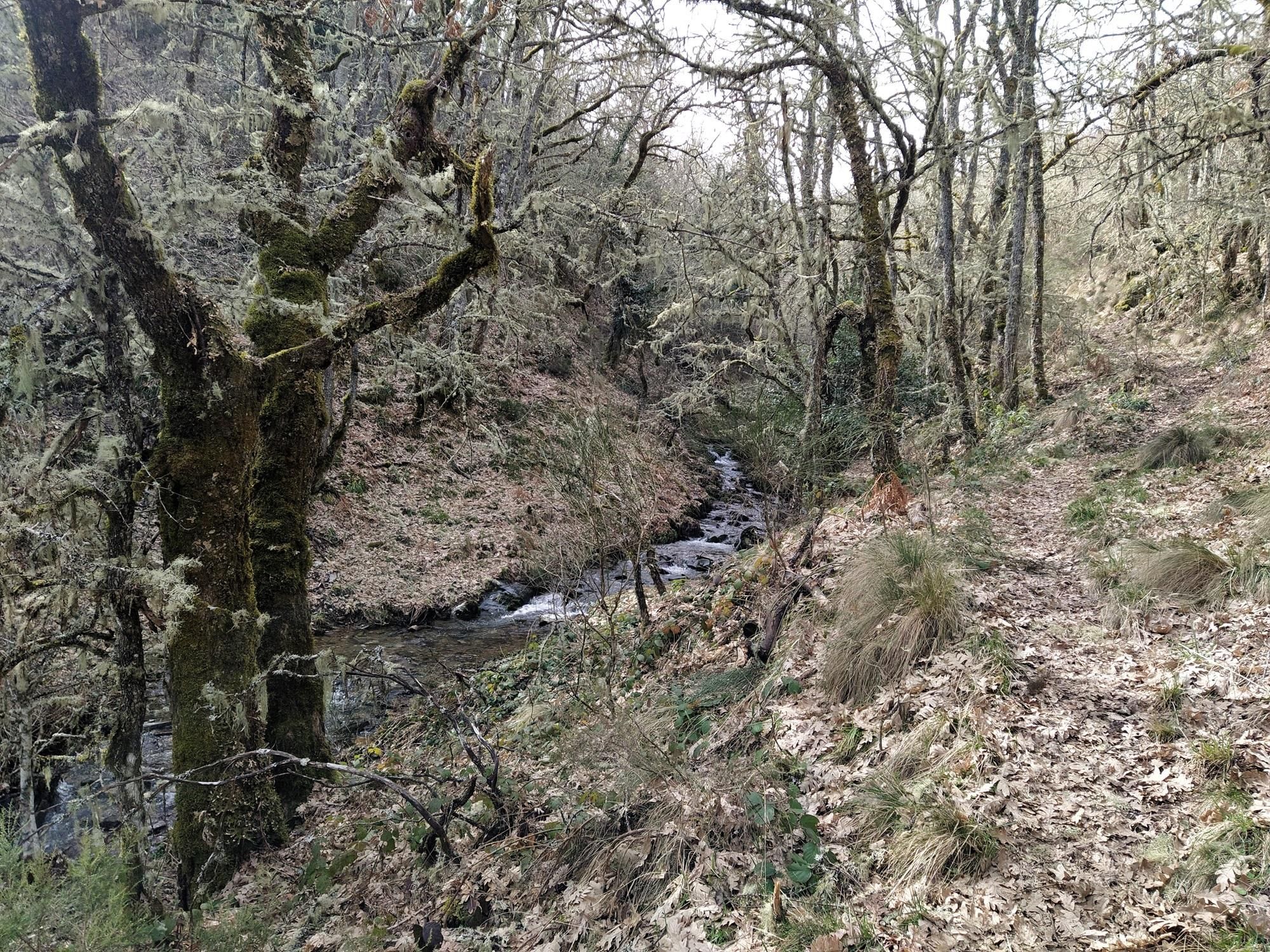 Sendero a la Fervencia de Foncebadón.