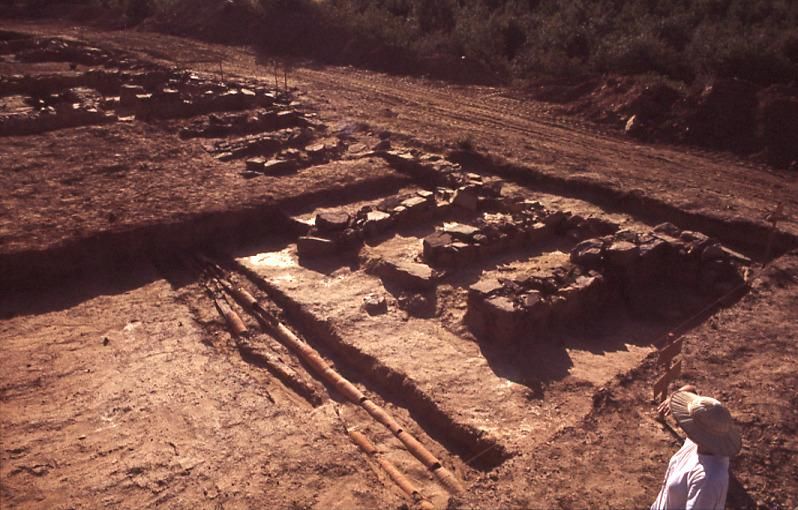 Sector A con conducción hidráulica