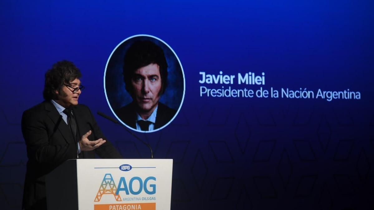 Para Milei, "es una pelotudez decir que la gente no llega a fin de mes" y habló del "nivel de estupidez" de los que critican el RIGI