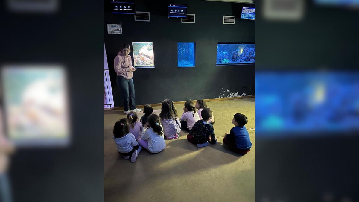 Una de las actividades promovidas por la asociación 'Entre Todos' de Letur en una visita a un acuario