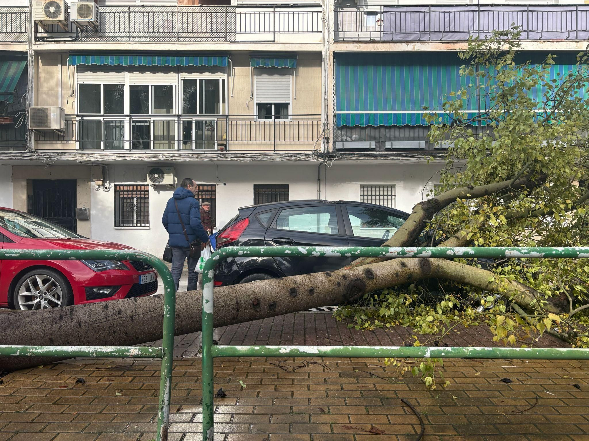 Las imágenes de la borrasca Kristin a su paso por Córdoba