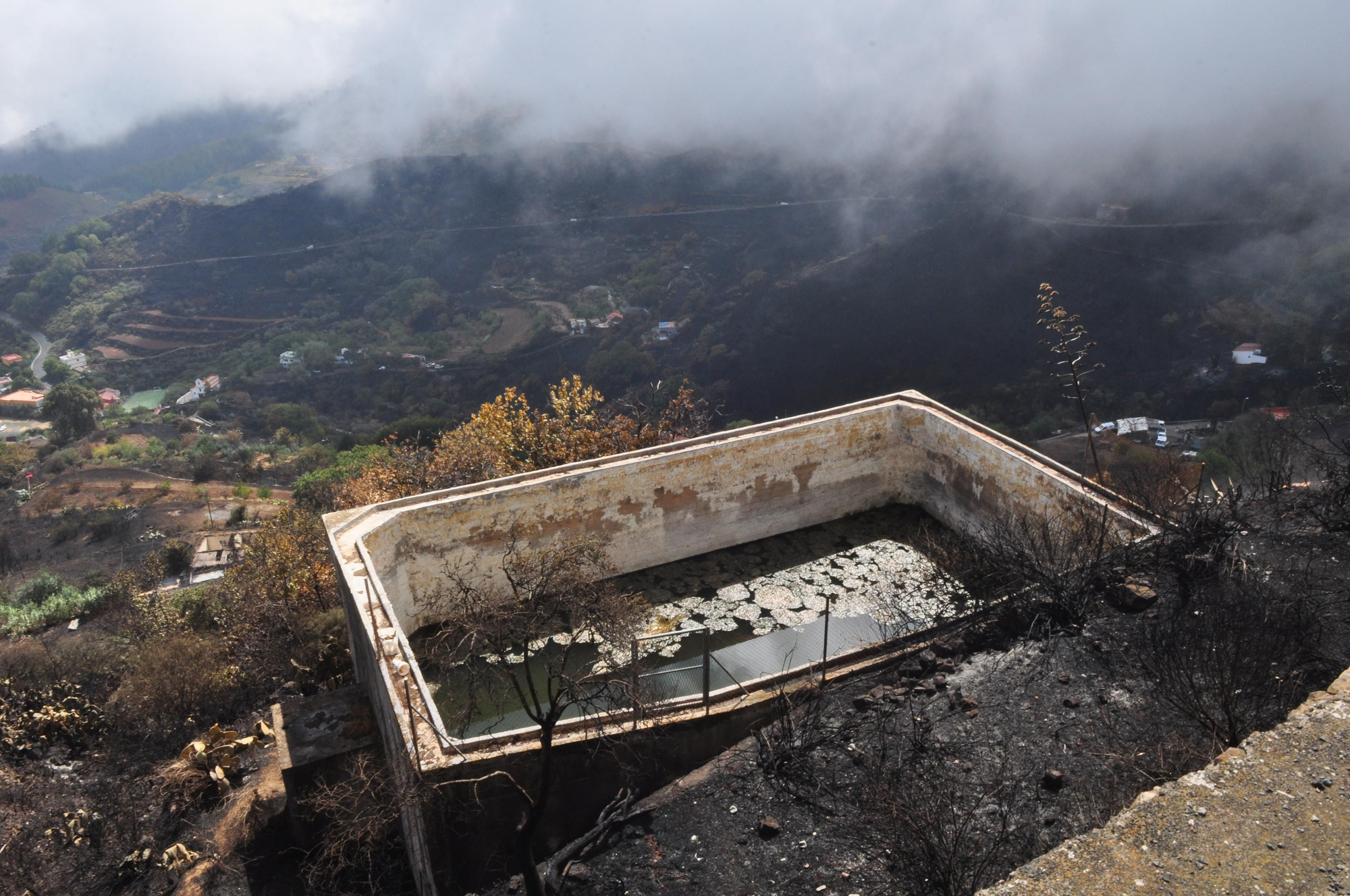 Efectos de las llamas en Gran Canaria