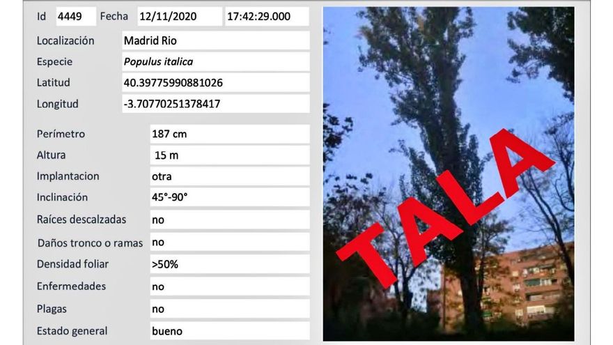 El Gobierno de Ayuso propuso talar el 75% de árboles en la estación de Madrid Río en un estudio de 2020 que no hizo público