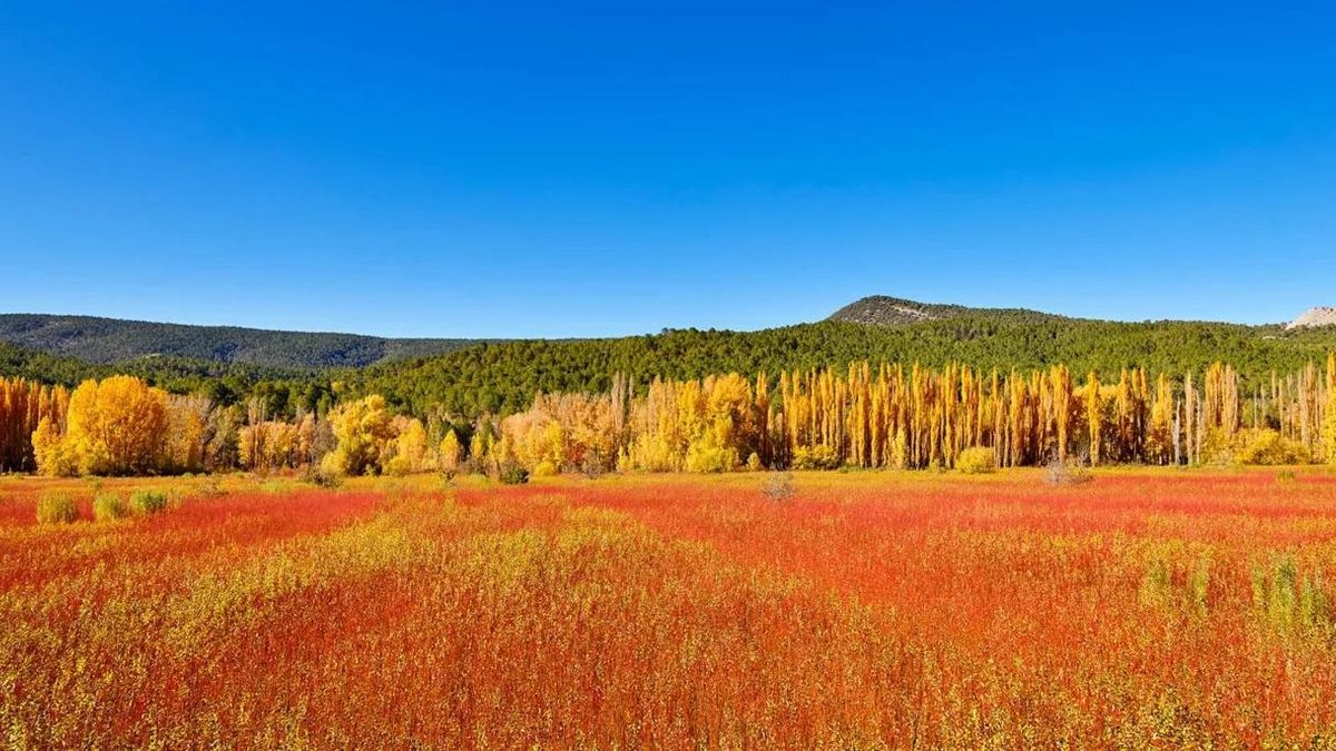 La Ruta del Mimbre: el recorrido por la comarca de Cuenca que se tiñe de rojo al llegar el otoño