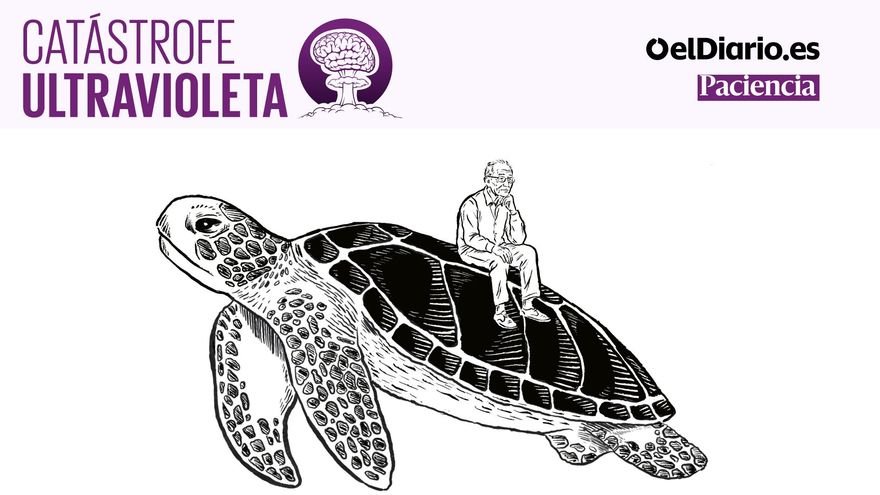 Dos décadas de guardia frente al océano: la larga espera por las tortugas 'perdidas' de Fuerteventura | 🎙 PODCAST
