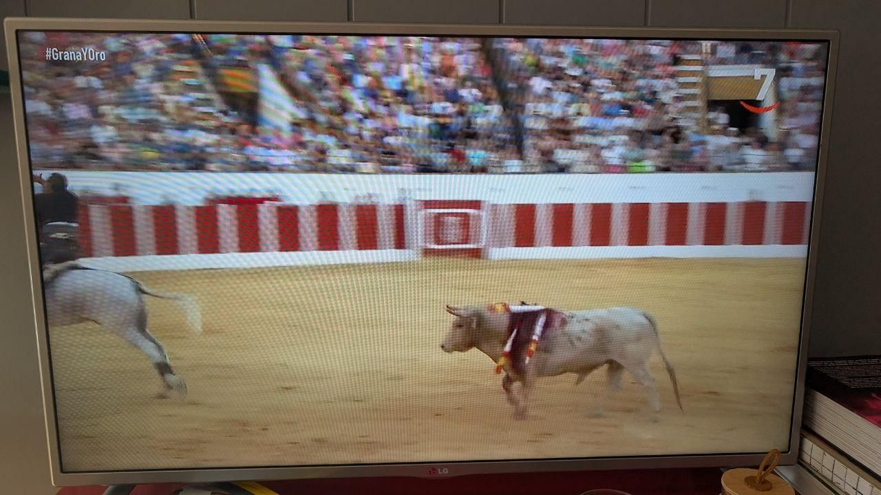 Emisión de toros en la 7 de Castilla y León Televisión cuando Mañueco comparecía en las Cortes