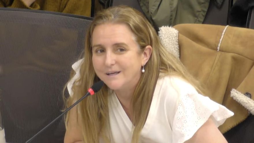 "Como nunca, la pediatría en el país se está viniendo abajo": trabajadores del Garrahan fueron al Congreso a defender el hospital