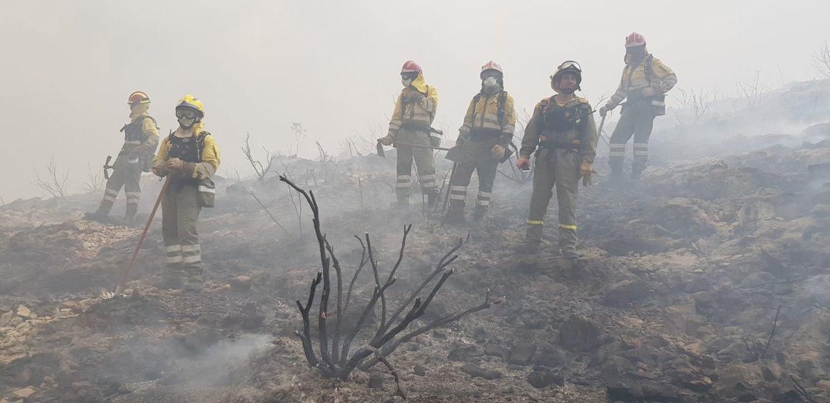 Bomberos de Murcia en la zona arrasada por el fuego en Llutxent y Gandia