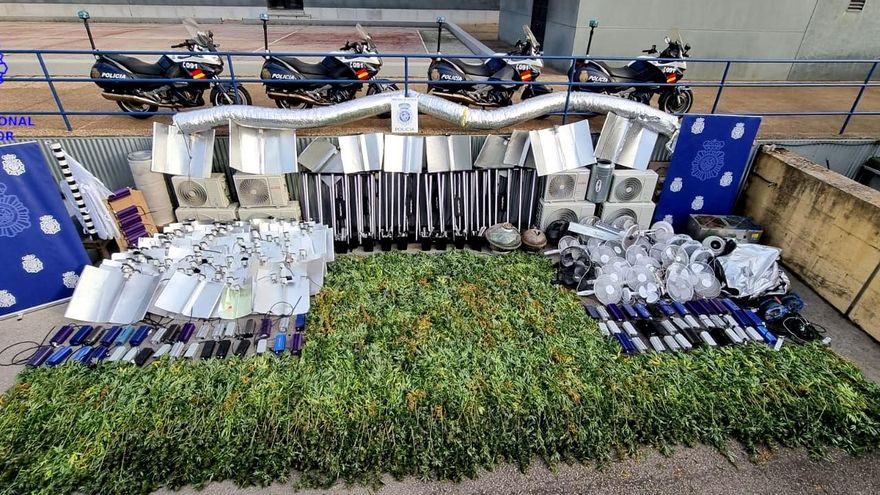 Plantas de marihuana y material incautado en dos plantaciones indoor en Santander