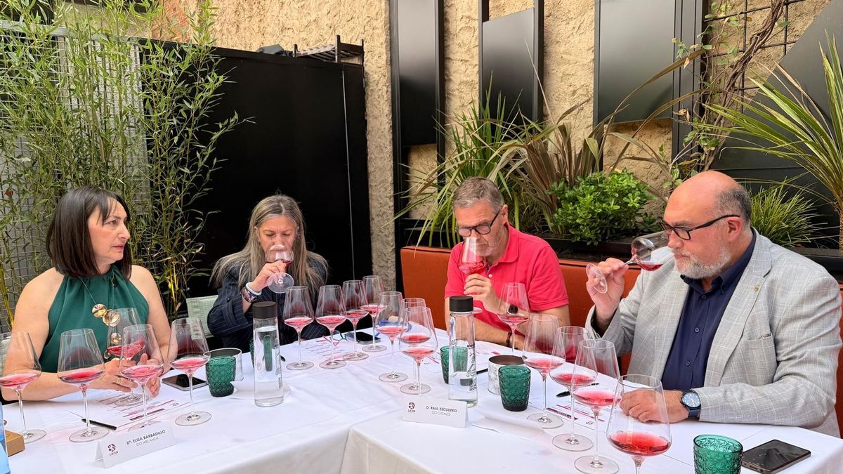 Vinos "excelentes" un año más: la DO León triunfa con la última cosecha de prieto picudo y albarín