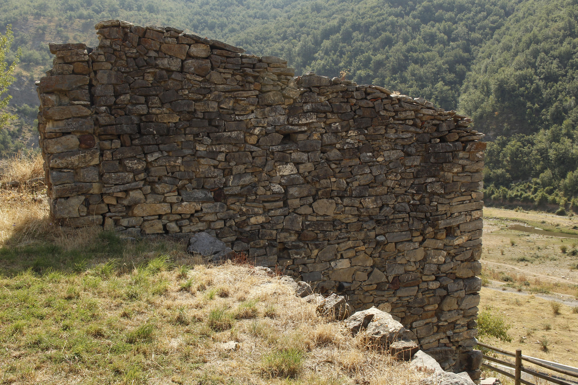 Día del Camero Viejo en Terroba