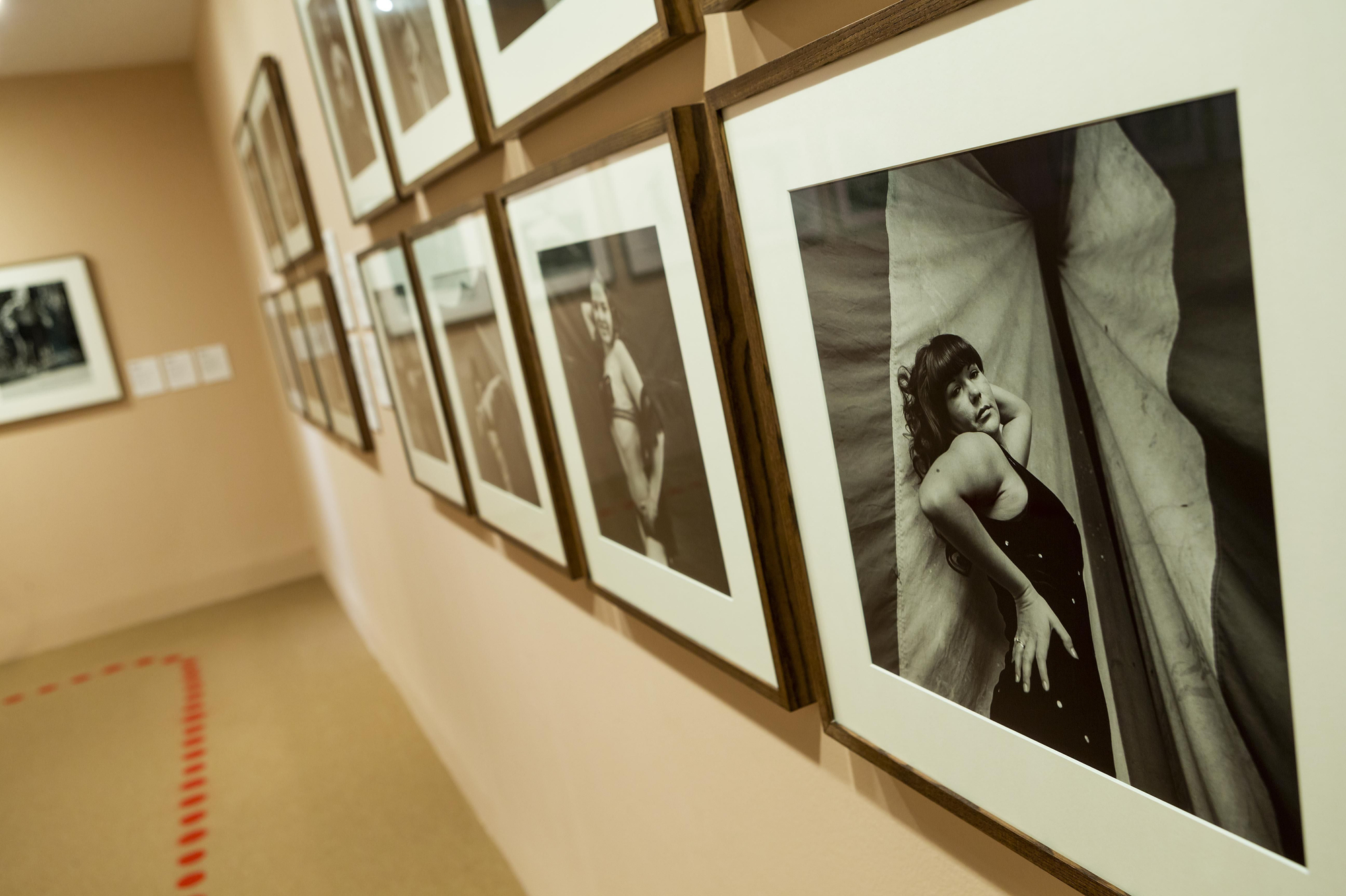 Sala de Susan Miselas