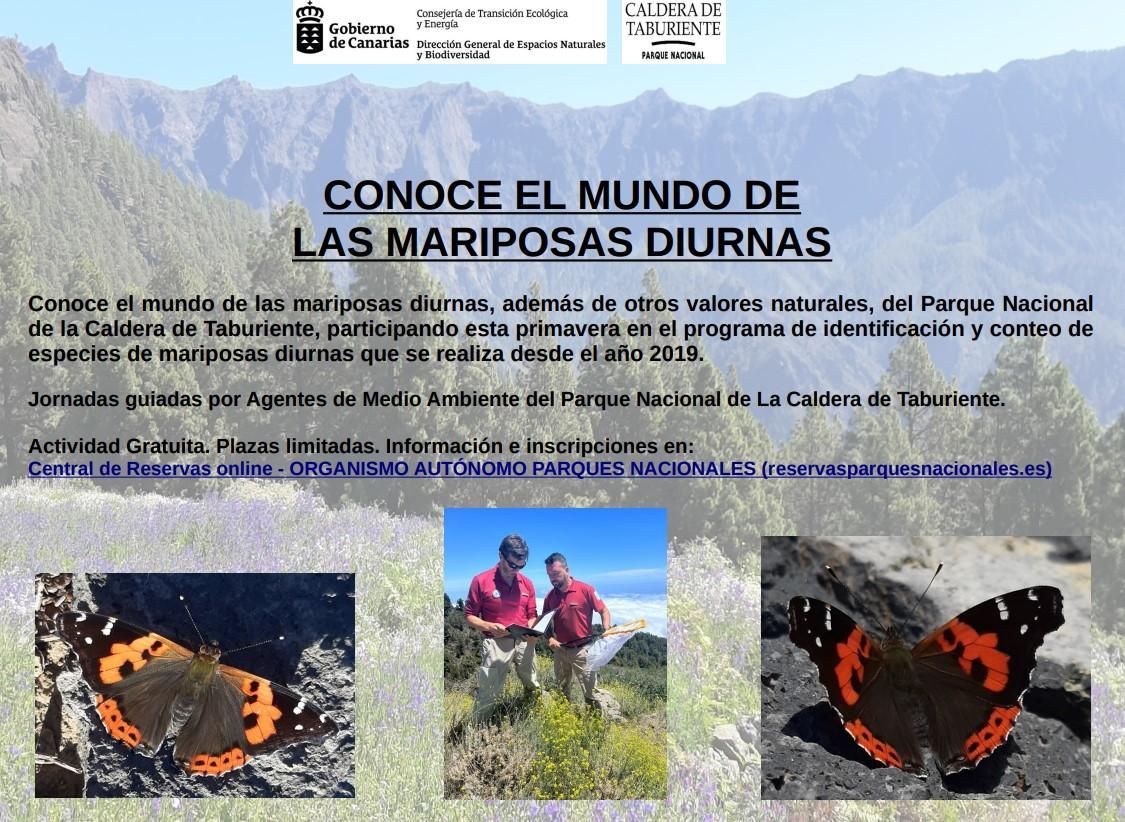 Cartel de las jornadas del programa de identificación y conteo de   mariposas diurnas en el Parque Nacional de La Caldera de Traburiente.