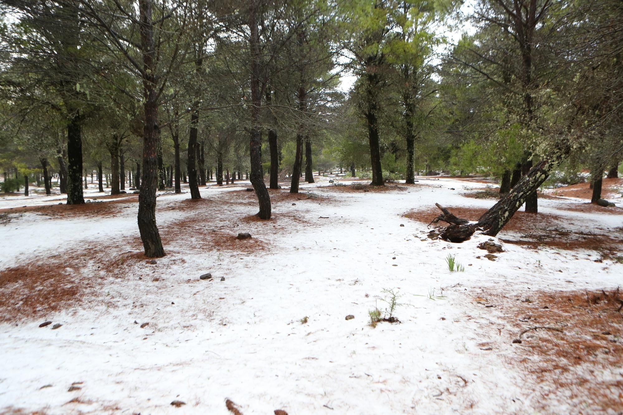 Nieve en Los Llanos de La Pez