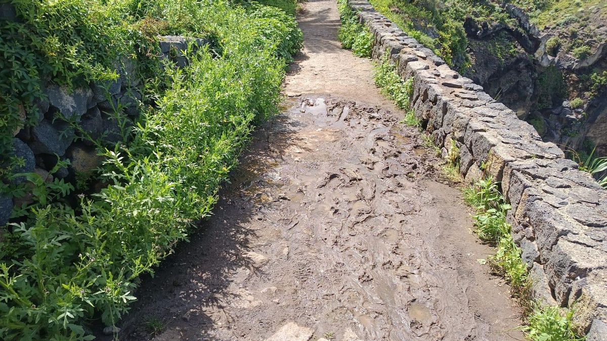 Nuevos vertidos fecales en uno de los parajes naturales protegidos más bellos del norte de Tenerife