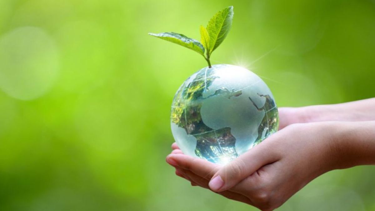 Día Internacional de la Madre Tierra: ¿por qué se celebra el 22 de abril?