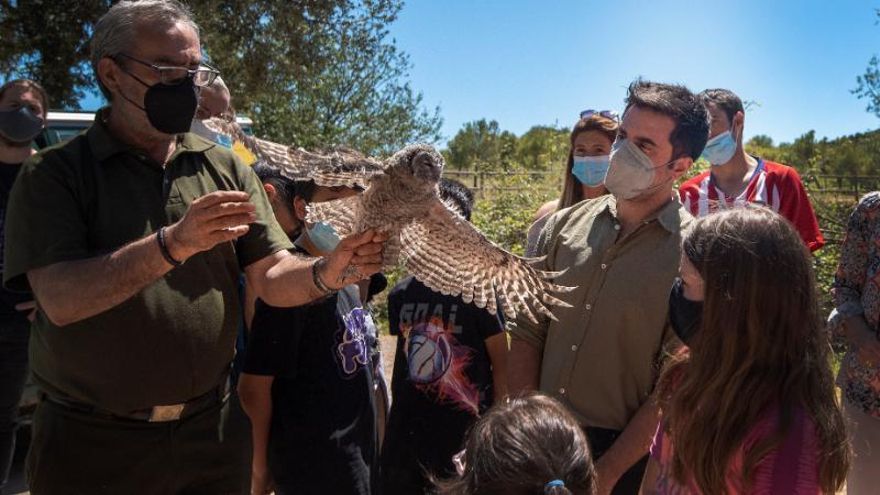 Liberadas 43 aves acogidas por voluntarios profesionales de La Fombera