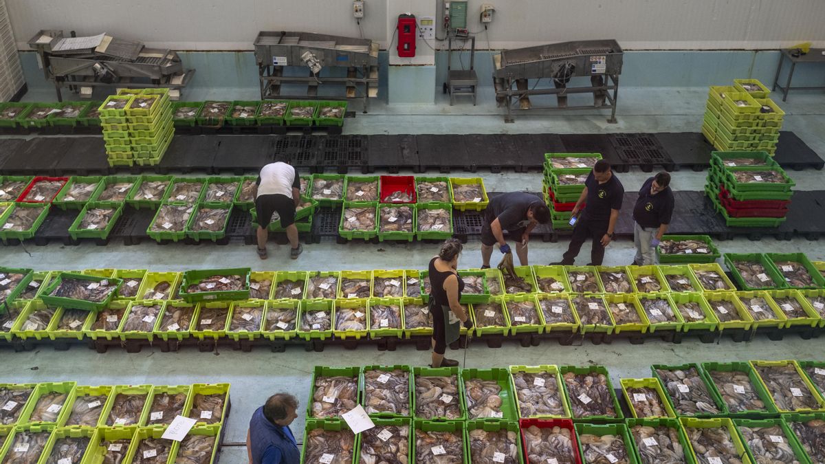 Puja del pulpo en la lonja de Ribeira.