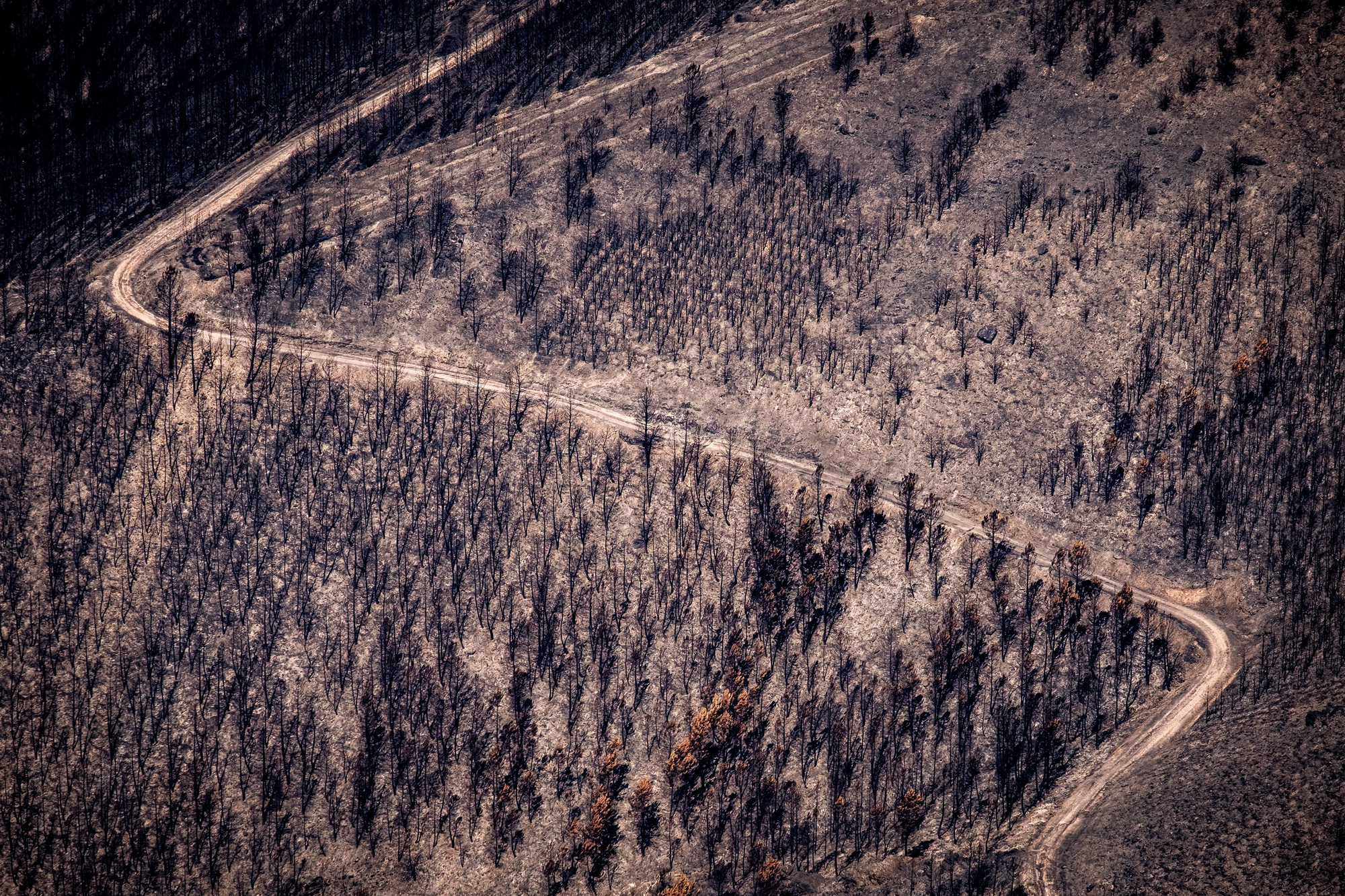 30 agosto 2025. Pico Montouto, Serra dos cabalos. Ourense. Greenpeace/ Pedro Armestre