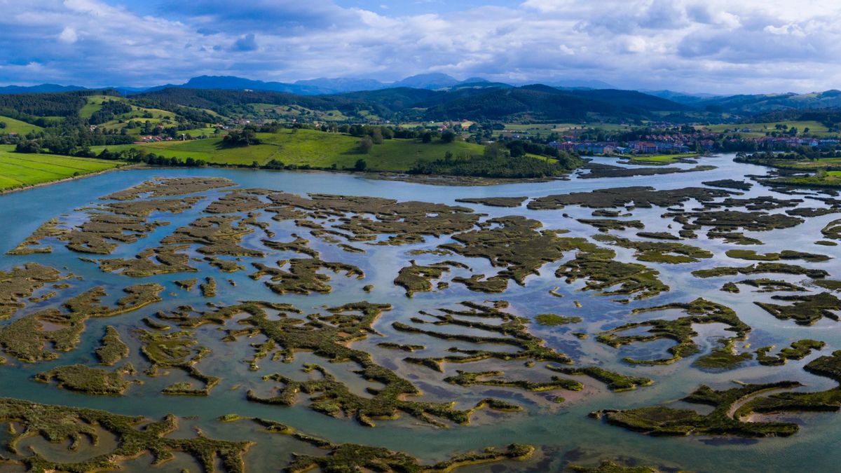 Marismas de Santoña, en el Parque Natural Victoria y Joyel (Cantabria)