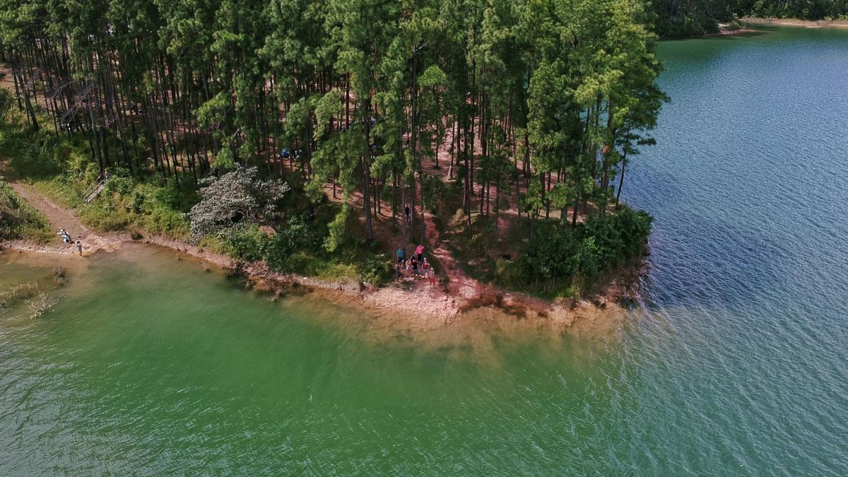 Los investigadores sugieren utilizar esta historia para guiar la restauración ecológica.